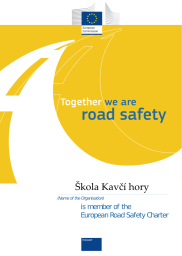 roadsafety.png