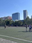 IMG_2242_004.jpeg
